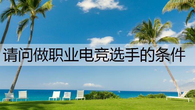 请问做职业电竞选手的条件