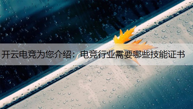 开云电竞为您介绍：电竞行业需要哪些技能证书