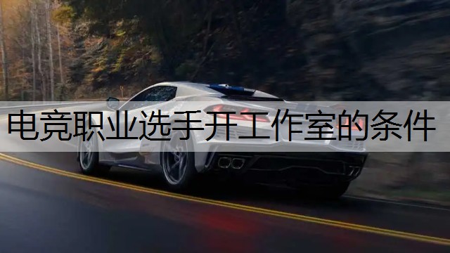 电竞职业选手开工作室的条件