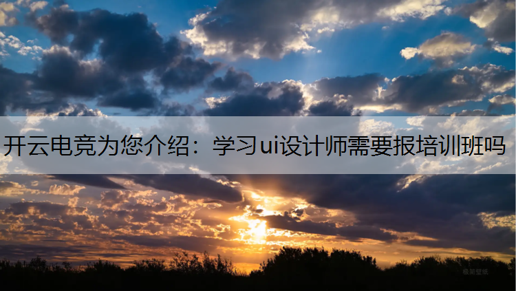 开云电竞为您介绍：学习ui设计师需要报培训班吗