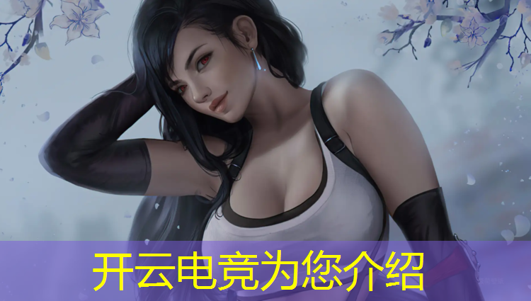 开云电竞为您介绍：电竞活动展架设计说明