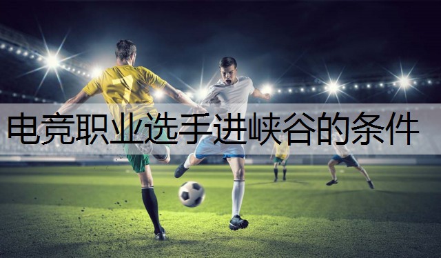电竞职业选手进峡谷的条件